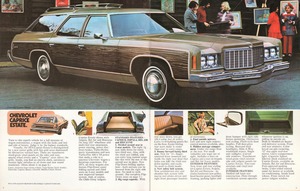 1974 Chevrolet Wagons (Cdn)-02-03.jpg